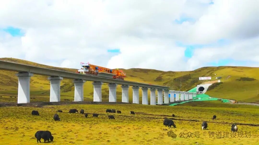 1768196408399602.jpg 2.jpg